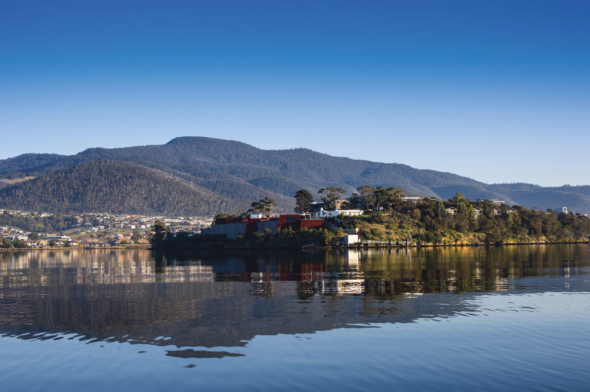 Mount Wellington Tour - image 3